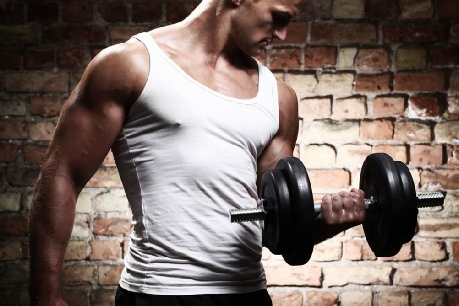 Muscle Gain For Men